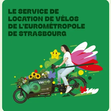 Appartamento Strasbourg, Cosy Au Bord De L Eau *