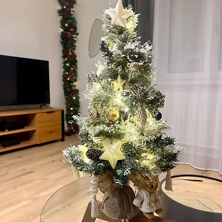 Escale Cosy A Au Fil De L Eau Estrasburgo