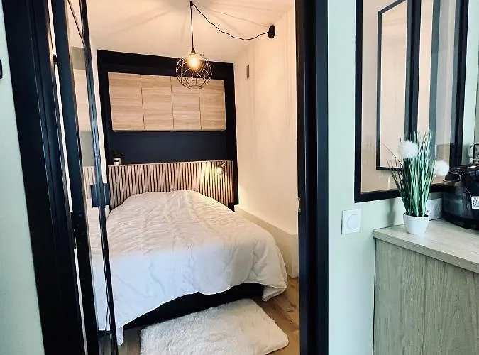 Escale Cosy A Au Fil De L Eau * Strasbourg