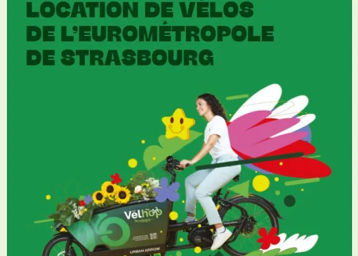 Apartment Escale Cosy A Au Fil De L Eau *