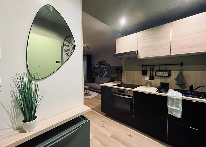 Apartment Escale Cosy A Au Fil De L Eau Strasbourg