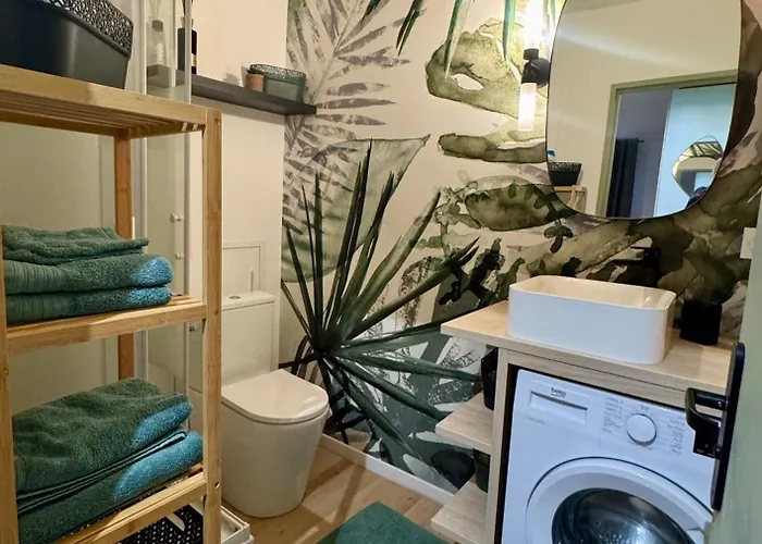 Apartment Escale Cosy A Au Fil De L Eau Strasbourg