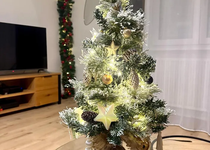 Escale Cosy A Au Fil De L Eau Estrasburgo