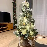 Escale Cosy A Au Fil De L Eau Strasbourg